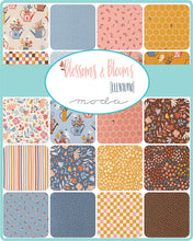 Load image into Gallery viewer, Moda Blossoms and Blooms by Elena Amo - Layer Cake