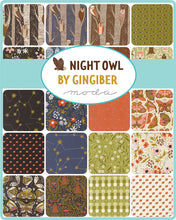 Load image into Gallery viewer, Moda Night Owl by Gingiber - Charm Pack