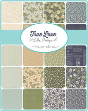 Load image into Gallery viewer, Moda True Love by Lella Boutique - Jelly Roll