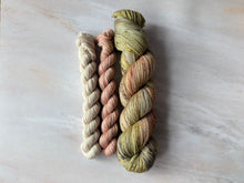 Load image into Gallery viewer, A Song of Yarn and Fibre Club - Sock Sets - The Thirteen, Garden of Bones & The Spice King