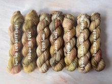 Load image into Gallery viewer, A Song of Yarn and Fibre Club - The Thirteen