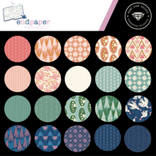 Load image into Gallery viewer, Moda Endpaper by Jen Hewett of Ruby Star Society - Charm Pack