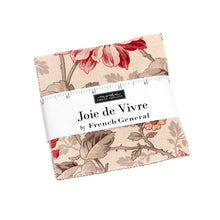 Load image into Gallery viewer, Moda Joie De Vivre by French General - Charm Pack
