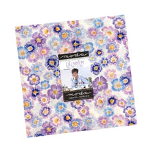 Load image into Gallery viewer, Moda Delphinium by Janet Clare - Layer Cake
