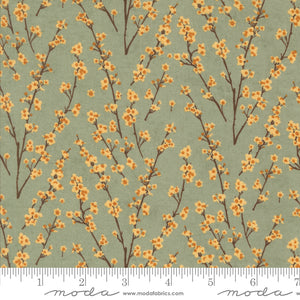Moda Acorn Hollow by BasicGrey - 30765 18