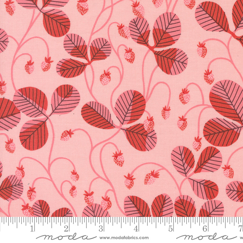 Moda Love Letter by Lizzy House - 37124 20