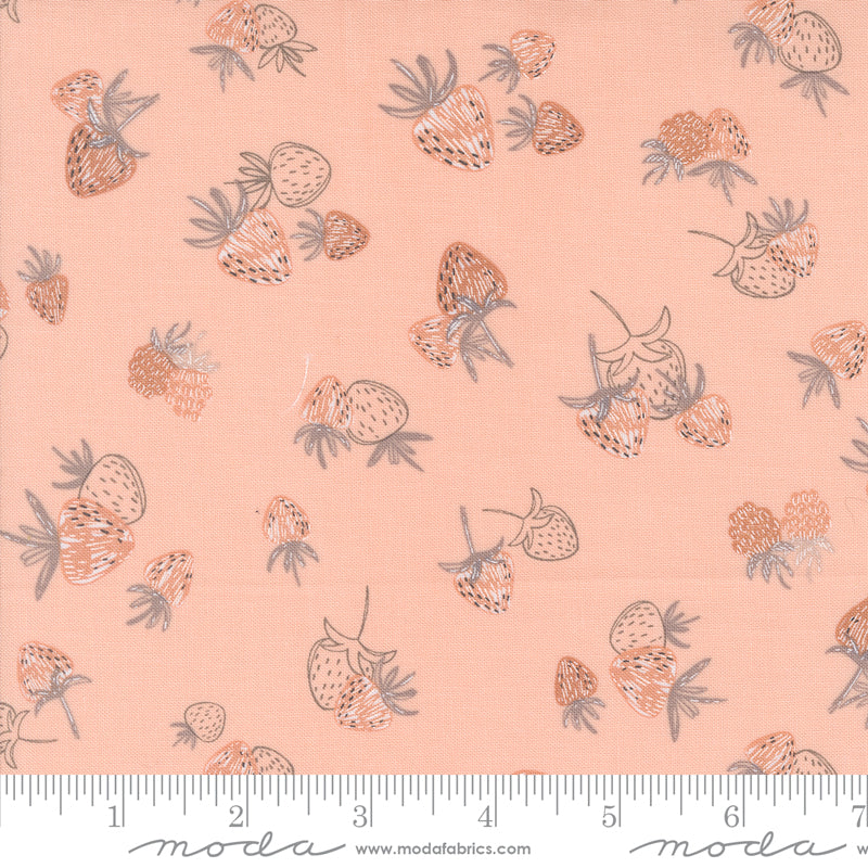 Moda Chirp by Elena Amo - 39032 12