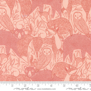 Moda Woodland Wonder by Gingiber -   48390 18