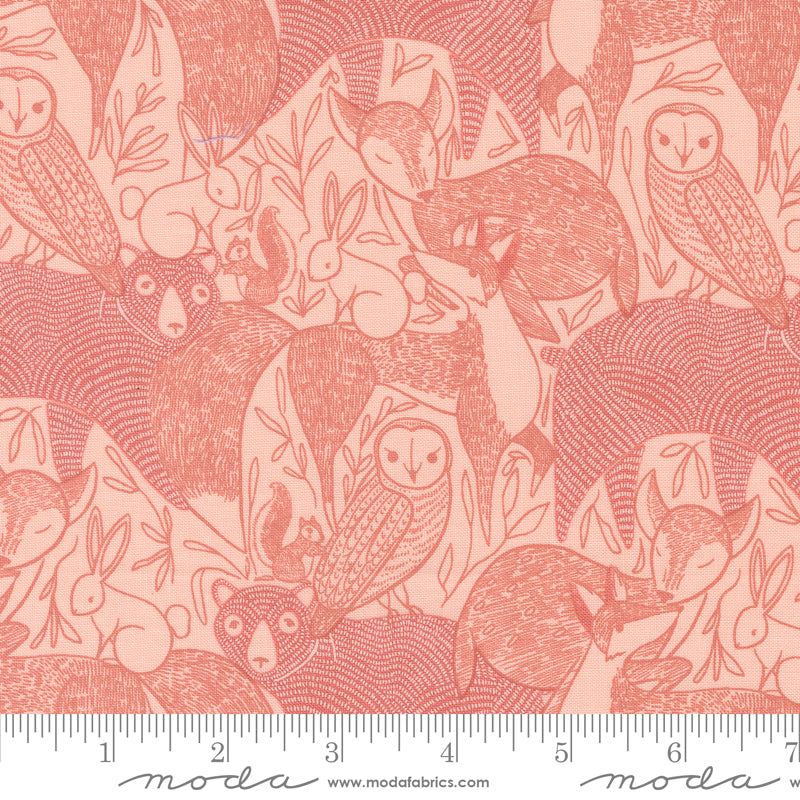 Moda Woodland Wonder by Gingiber -   48390 18