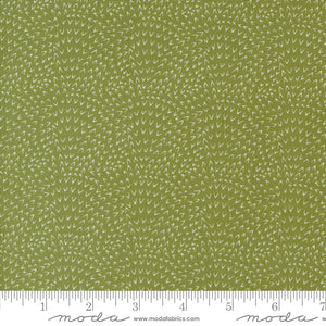 Moda Woodland Wonder by Gingiber -   48396 19