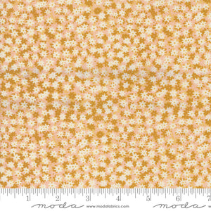 Moda Bee Garden by Gingiber - 48417 14