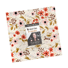 Load image into Gallery viewer, Moda Night Owl by Gingiber - Layer Cake
