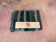 Load image into Gallery viewer, Colour Club Spares - Month Four
