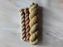 Load image into Gallery viewer, A Song of Yarn and Fibre Club  - Sock Sets - The Thirteen, Garden of Bones &amp; The Spice King
