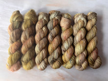 Load image into Gallery viewer, A Song of Yarn and Fibre Club - The Thirteen
