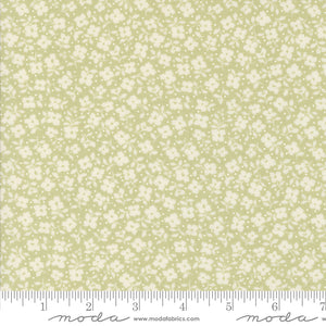 Moda Dainty Meadow - 31745 20