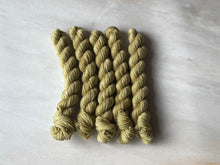 Load image into Gallery viewer, Oregano - Silky Sock

