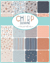 Load image into Gallery viewer, Moda Chirp by Elena Amo  - Charm Pack
