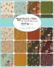 Load image into Gallery viewer, Moda  Foraged, Found and Hand Me Down by Fancy That - Charm Pack
