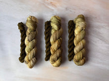 Load image into Gallery viewer, A Song of Yarn and Fibre Club  - Sock Sets - Khaleesi &amp; The Great Grass Sea
