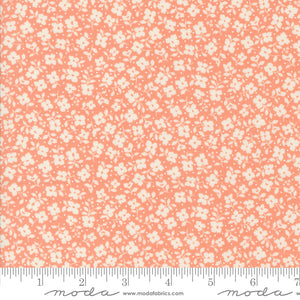 Moda Dainty Meadow - 31745 19
