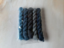 Load image into Gallery viewer, Colour Club Spares - Month Five

