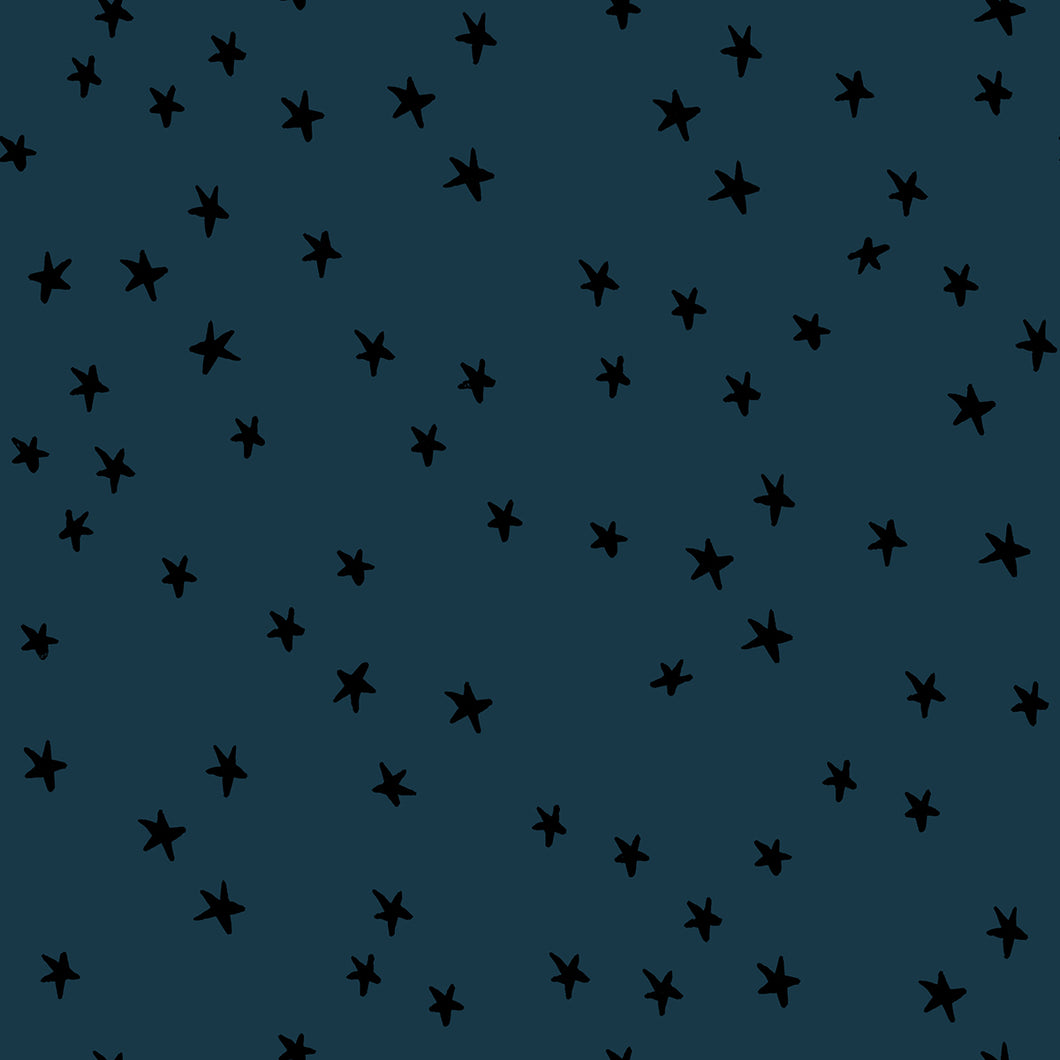 Moda Starry by Ruby Star Society - RS4109 45 - Smoke
