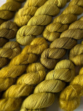 Load image into Gallery viewer, Lichen - Various Bases - The Spring Court
