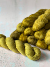 Load image into Gallery viewer, Lichen - Various Bases - The Spring Court
